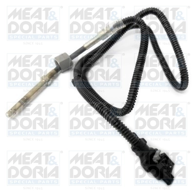 Sensor, exhaust gas temperature